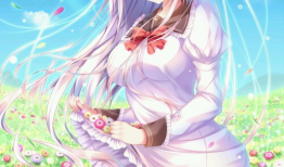 二次元漫画美女,穿越次元的爱恋之旅